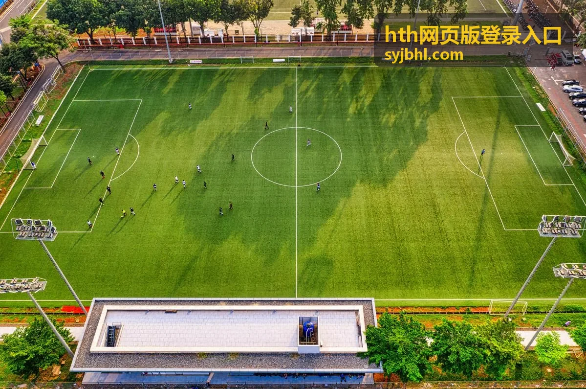 手机与电脑访问 hth网页版登录入口的页面差异说明