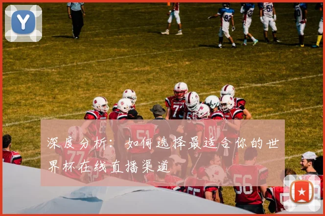 深度分析：如何选择最适合你的世界杯在线直播渠道