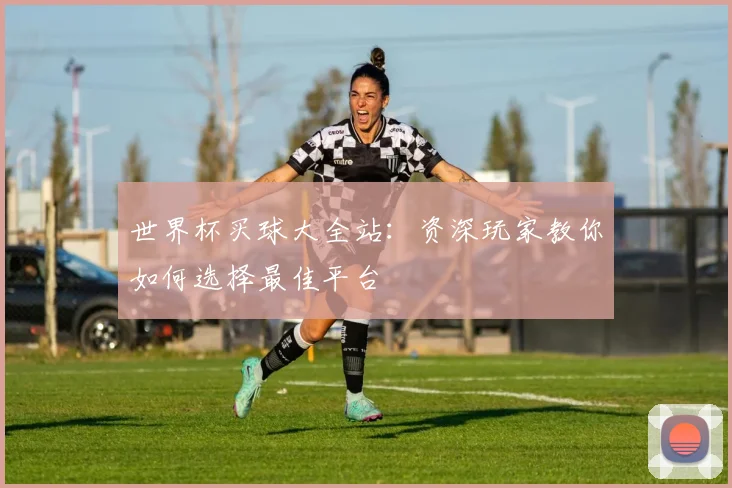世界杯买球大全站：资深玩家教你如何选择最佳平台