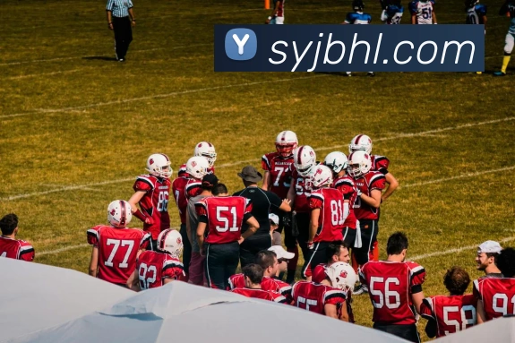 未来规划